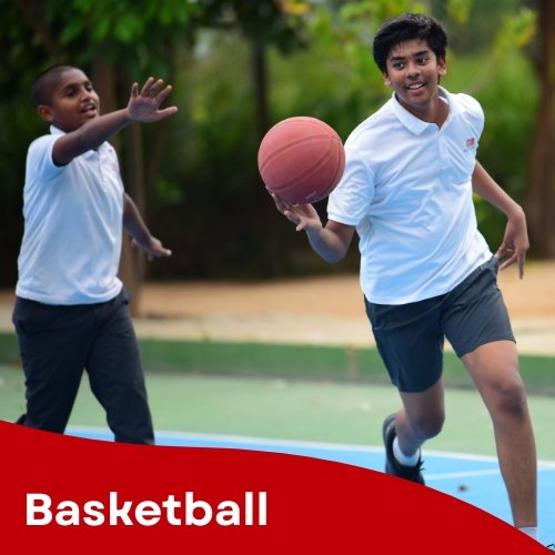 Basketball