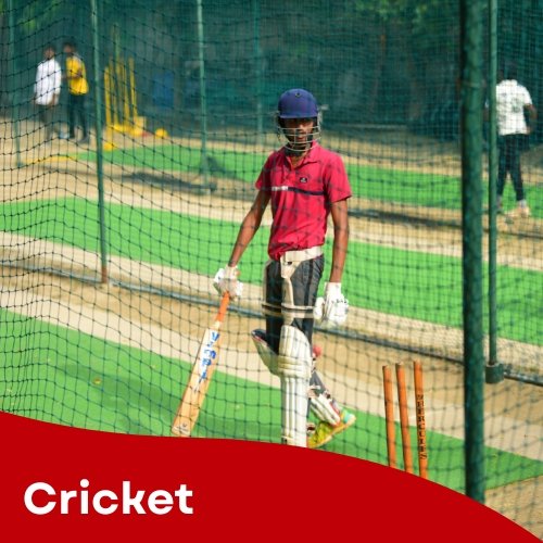 Cricket