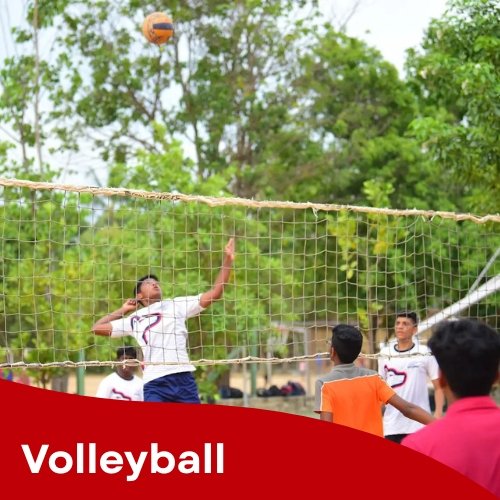Volley-Ball (1)